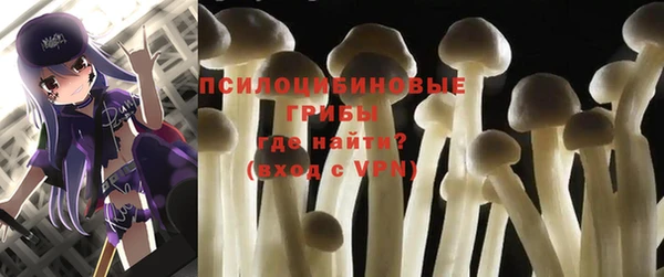 соль ск Сафоново