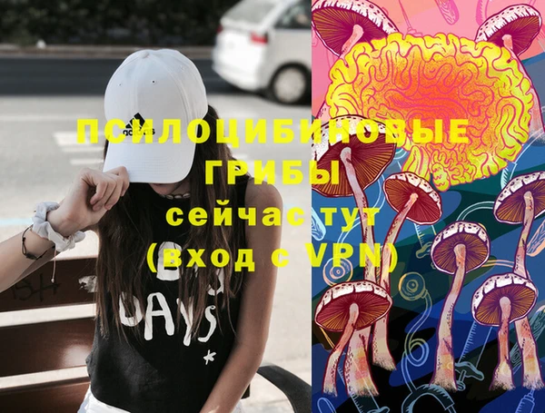 мдпв Саяногорск