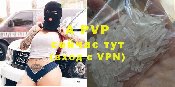 стаф Сатка