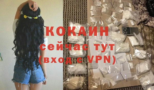 стаф Сатка