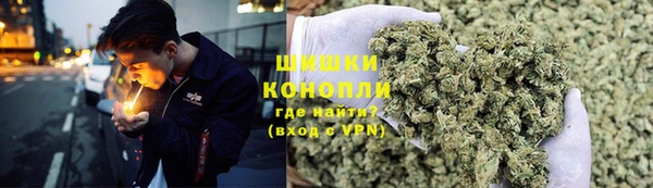стаф Сатка